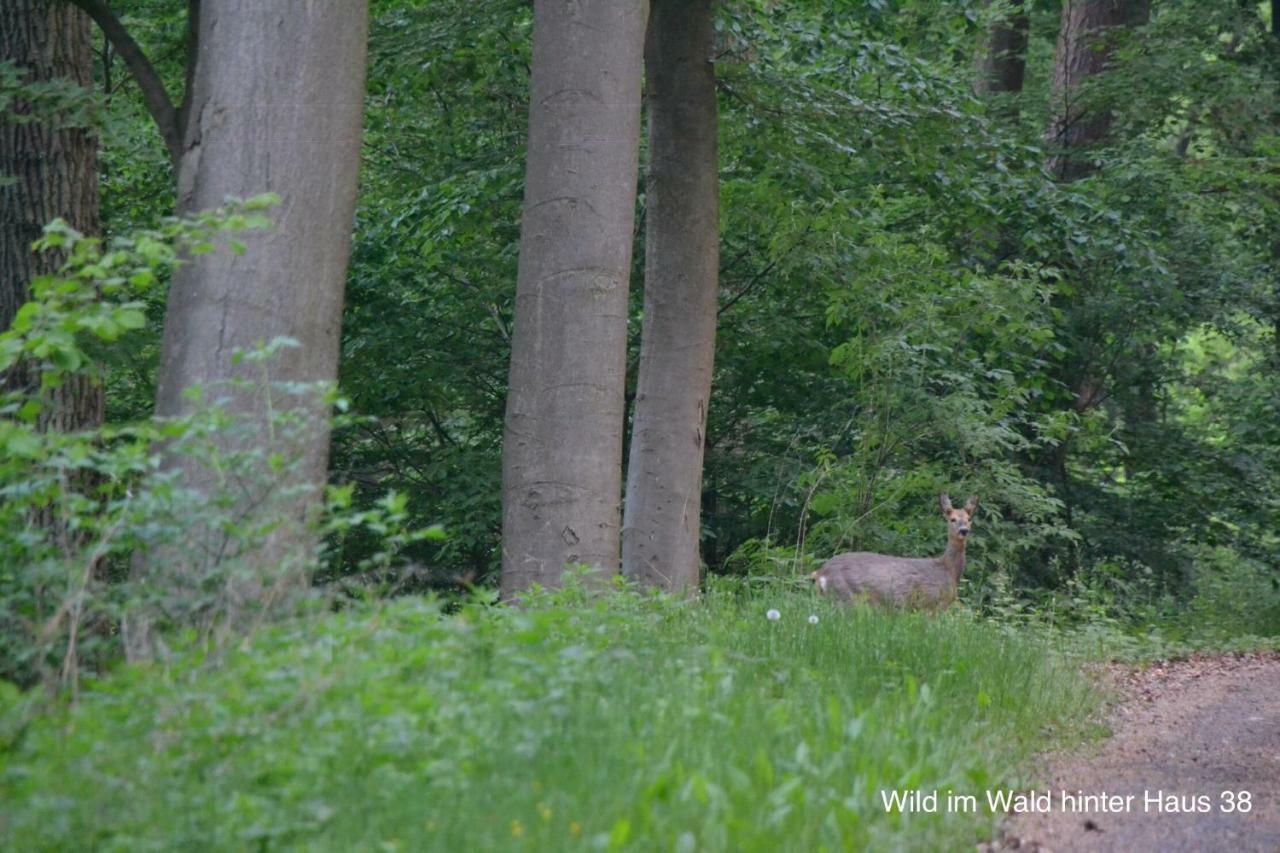 Huis 38 Seepark Kirchheim Kirchheim  Esterno foto